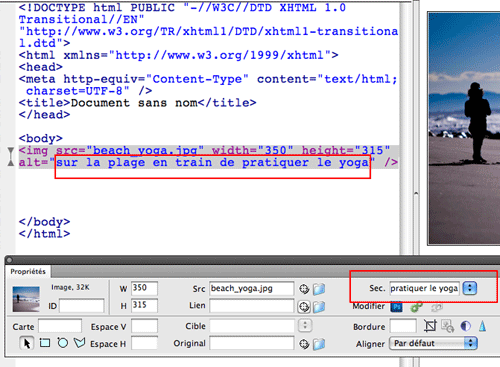 texte secondaire ou alternatif